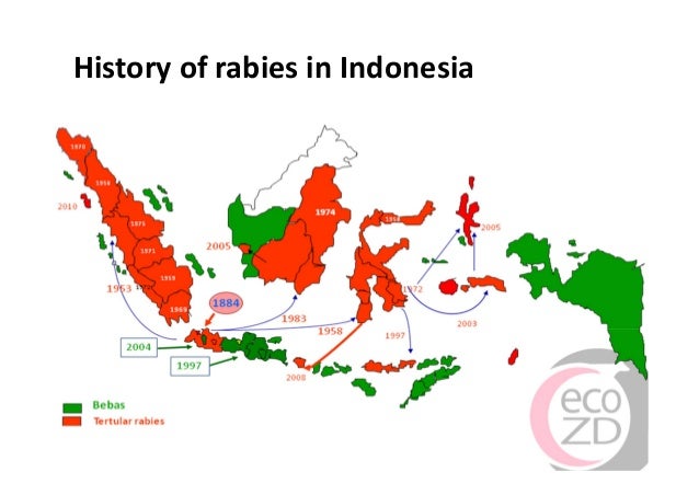 Rabies in Bali: A chronology and experience made with an EcoHealth ap…