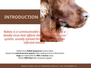 **Rabies prevention relies on dog vaccination, PEP, awareness, and ...