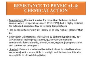 • Temperature: Does not survive for more than 24 hours in dead
animals when temperatures reach 21°C (70°F), but is highly resistant
for extended periods at low or freezing temperatures
• pH: Sensitive to very low pH (below 3) or very high pH (greater than
11)
• Chemicals/ Disinfectants: Inactivated by sodium hypochlorite, 45–
75% ethanol, iodine preparations, quaternary ammonium
compounds, formaldehyde, phenol, ether, trypsin, β-propiolactone,
and some other detergents
• Survival: Does not survive well outside its host (in dried blood and
secretions) as it is susceptible to sunlight and desiccation. It is also
susceptible to ultraviolet radiation
RESISTANCE TO PHYSICAL &
CHEMICALACTION
 