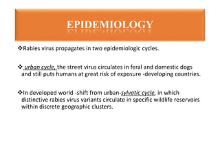Rabies virus propagates in two epidemiologic cycles.
 urban cycle, the street virus circulates in feral and domestic dogs
and still puts humans at great risk of exposure -developing countries.
In developed world -shift from urban-sylvatic cycle, in which
distinctive rabies virus variants circulate in specific wildlife reservoirs
within discrete geographic clusters.
EPIDEMIOLOGY
 