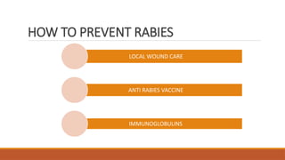 Rabies awareness and vaccination .pptx