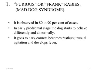 Rabies main prabhat | PPTX