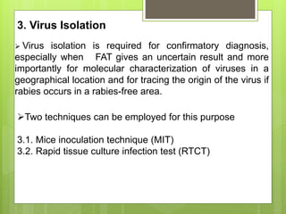 Rabies Pathology . Rabies causes treatment | PDF