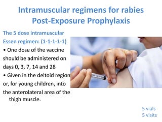 Rabies-P&C | PPTX | Infectious Diseases | Diseases and Conditions