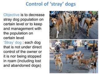 Control of ‘stray’ dogs
Objective is to decrease
stray dog population on
certain level or to keep
and management with
the population on
certain level
‘Stray’ dog : each dog
that is not under direct
control of the owner or
it is nor being stopped
in roam (including lost
and abandoned dogs)
 