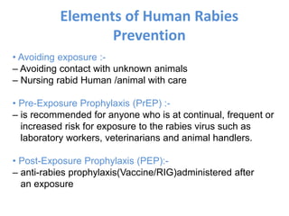 • Avoiding exposure :-
– Avoiding contact with unknown animals
– Nursing rabid Human /animal with care
• Pre-Exposure Prophylaxis (PrEP) :-
– is recommended for anyone who is at continual, frequent or
increased risk for exposure to the rabies virus such as
laboratory workers, veterinarians and animal handlers.
• Post-Exposure Prophylaxis (PEP):-
– anti-rabies prophylaxis(Vaccine/RIG)administered after
an exposure
Elements of Human Rabies
Prevention
 