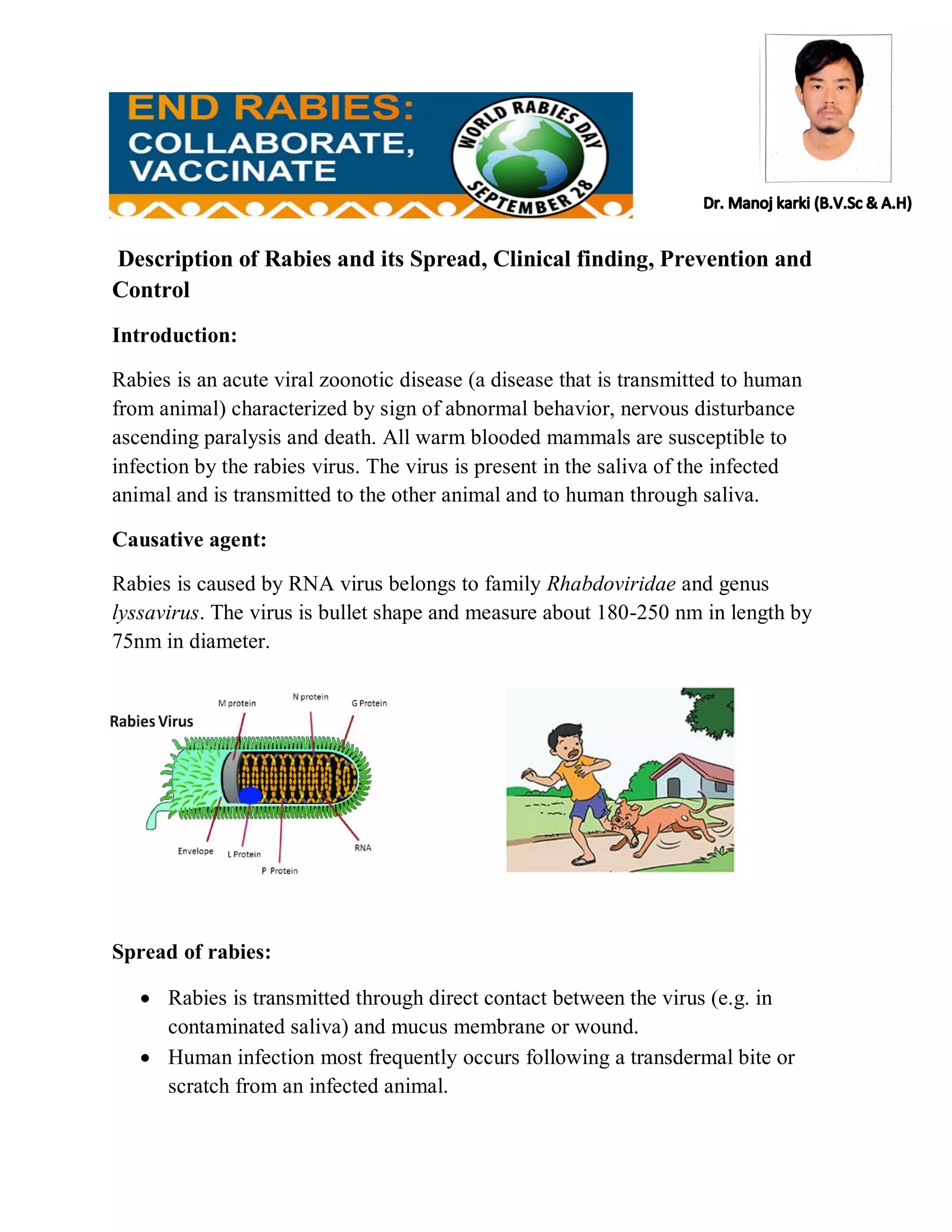 Rabies its transmission, clinical features and prevention | PDF