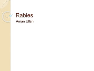 Rabies
Aman Ullah
 