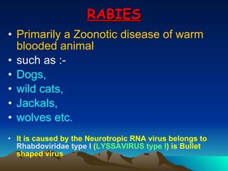 RABIES Primarily a Zoonotic disease of warm blooded animal   such as :- Dogs,  wild cats,  Jackals,  wolves etc. It is caused by the Neurotropic RNA virus belongs to  Rhabdoviridae type I  ( LYSSAVIRUS type I ) is Bullet shaped virus 