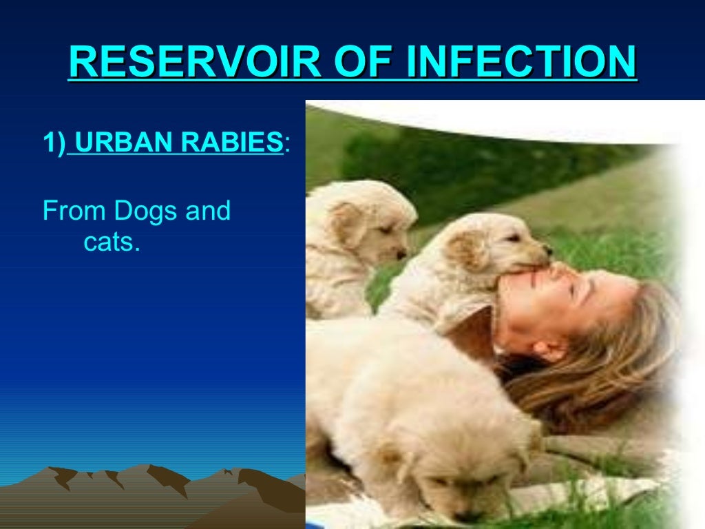 Rabies ppt