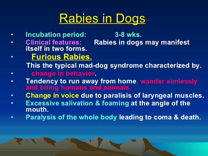 rabies symptoms in dogs tagalog