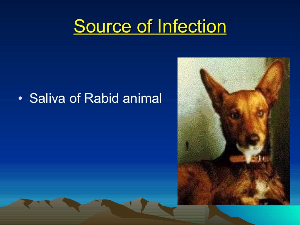 Rabies ppt