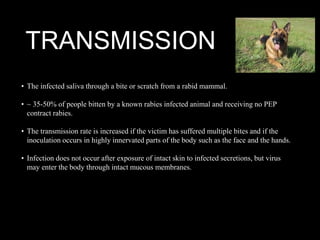 Rabies ppt | PPT