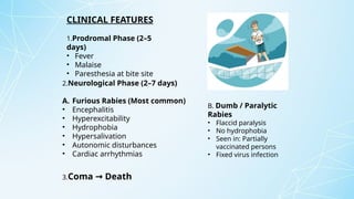 Partial Paralysis Rabies rabies ppt.pptx microbiology virus dna i | PPTX