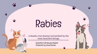 Rabies ,a deadly viral disease transmitted by the most beautiful beings