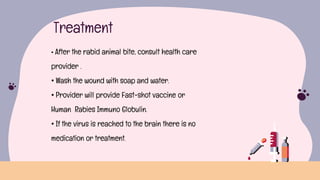 Rabies ,a deadly viral disease transmitted by the most beautiful beings ...