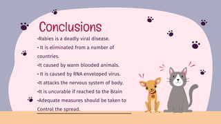 Rabies ,a deadly viral disease transmitted by the most beautiful beings