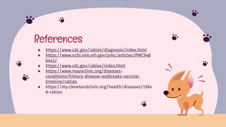 Rabies ,a deadly viral disease transmitted by the most beautiful beings