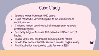 Researchgate How Rabies Is Transmitted Rabies ,a deadly viral disease transmitted by the most beautiful beings ...