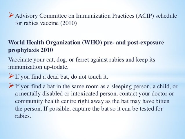 Bat rabies cases picture