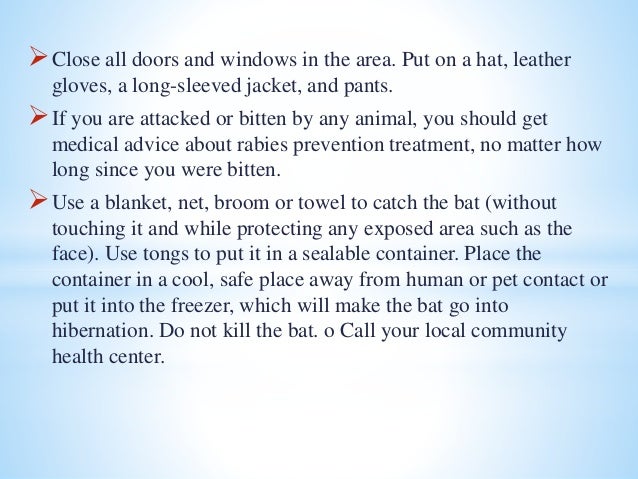 Rabies case study picture