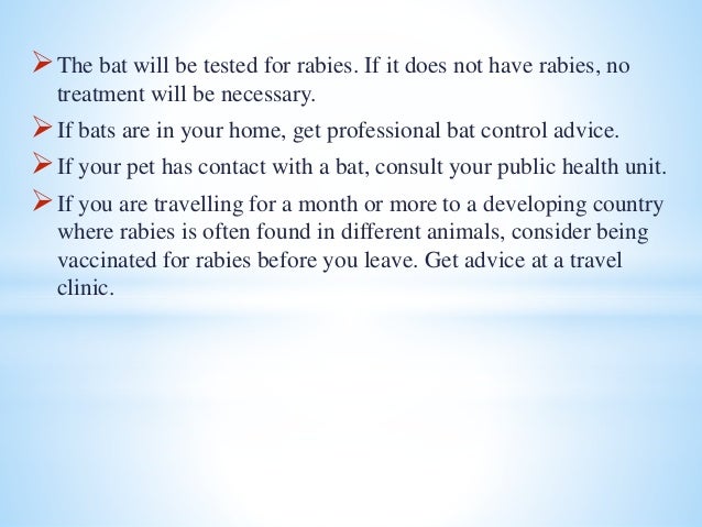 Rabies essay picture