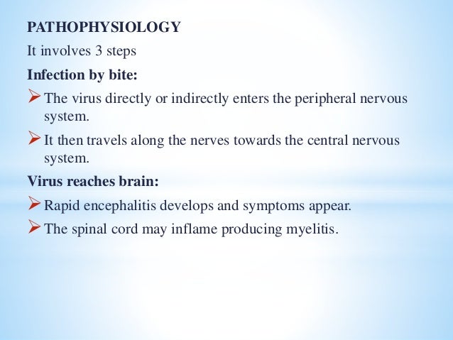 Rabies outbreak 2021 image