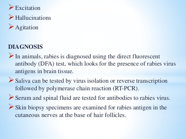 Dog bite case study image
