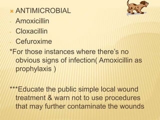  ANTIMICROBIAL
- Amoxicillin
- Cloxacillin
- Cefuroxime
*For those instances where there’s no
obvious signs of infection( Amoxicillin as
prophylaxis )
***Educate the public simple local wound
treatment & warn not to use procedures
that may further contaminate the wounds
 