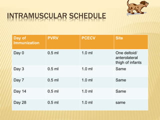 INTRAMUSCULAR SCHEDULE
Day of
Immunization
PVRV PCECV Site
Day 0 0.5 ml 1.0 ml One deltoid/
anterolateral
thigh of infants
Day 3 0.5 ml 1.0 ml Same
Day 7 0.5 ml 1.0 ml Same
Day 14 0.5 ml 1.0 ml Same
Day 28 0.5 ml 1.0 ml same
 