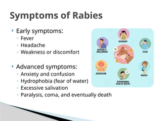 Rabies_Presentation rabies president invention | PPTX