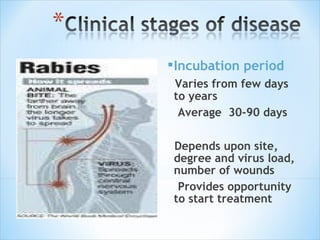 Rabies presentation | PPT