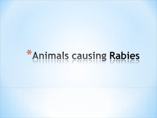 Rabies presentation | PPT