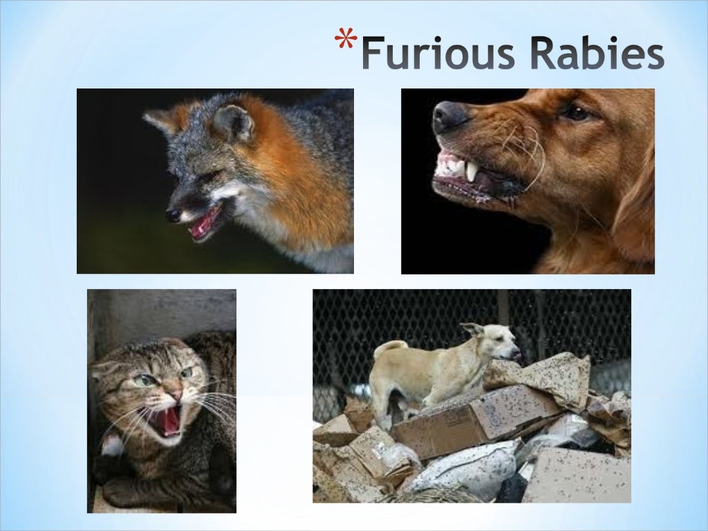 Rabies presentation