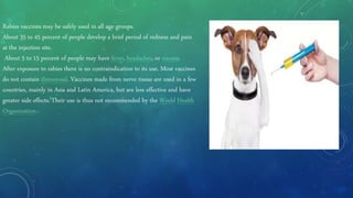 Rabies vaccines may be safely used in all age groups.
About 35 to 45 percent of people develop a brief period of redness and pain
at the injection site.
About 5 to 15 percent of people may have fever, headaches, or nausea.
After exposure to rabies there is no contraindication to its use. Most vaccines
do not contain thimerosal. Vaccines made from nerve tissue are used in a few
countries, mainly in Asia and Latin America, but are less effective and have
greater side effects.[Their use is thus not recommended by the World Health
Organization.
 