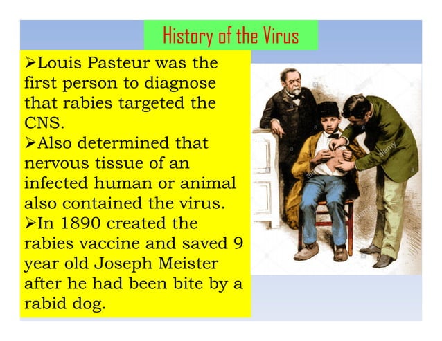 Rabies presentation | PPT