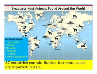 Rabies presentation | PPT