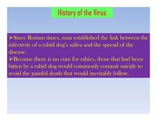 Since Roman times, man established the link between the
infectivity of a rabid dog’s saliva and the spread of the
disease.
Because there is no cure for rabies, those that had been
bitten by a rabid dog would commonly commit suicide to
avoid the painful death that would inevitably follow.
History of the Virus
 