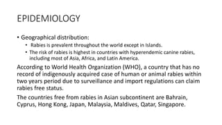 Rabies | PPTX