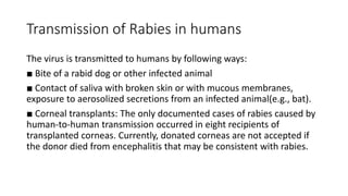 Rabies | PPTX