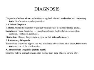 Rabies_Presentation ppt (tells about rabies) | PPTX