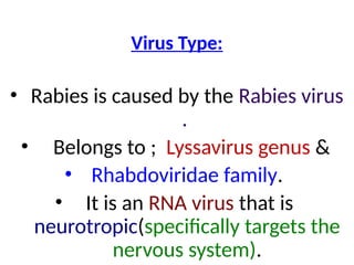Rabies Presentation By Ayesha Irshad.pptx pharmacy department | PPTX