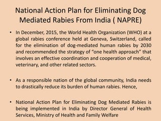 Rabies Presentation Dr. V. V. Limaye JC DIS PUNE.ppt