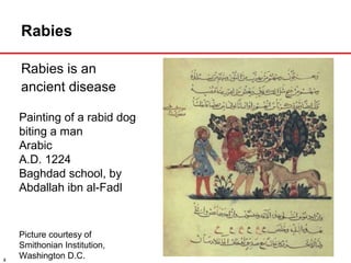 Rabies prevention | PPT
