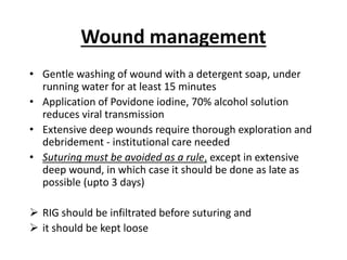 Wound management
• Gentle washing of wound with a detergent soap, under
running water for at least 15 minutes
• Application of Povidone iodine, 70% alcohol solution
reduces viral transmission
• Extensive deep wounds require thorough exploration and
debridement - institutional care needed
• Suturing must be avoided as a rule, except in extensive
deep wound, in which case it should be done as late as
possible (upto 3 days)
 RIG should be infiltrated before suturing and
 it should be kept loose
 