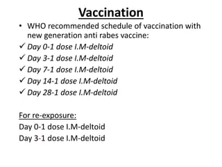 Vaccination
• WHO recommended schedule of vaccination with
new generation anti rabes vaccine:
 Day 0-1 dose I.M-deltoid
 Day 3-1 dose I.M-deltoid
 Day 7-1 dose I.M-deltoid
 Day 14-1 dose I.M-deltoid
 Day 28-1 dose I.M-deltoid
For re-exposure:
Day 0-1 dose I.M-deltoid
Day 3-1 dose I.M-deltoid
 