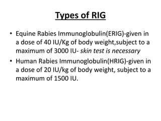 Types of RIG
• Equine Rabies Immunoglobulin(ERIG)-given in
a dose of 40 IU/Kg of body weight,subject to a
maximum of 3000 IU- skin test is necessary
• Human Rabies Immunoglobulin(HRIG)-given in
a dose of 20 IU/kg of body weight, subject to a
maximum of 1500 IU.
 