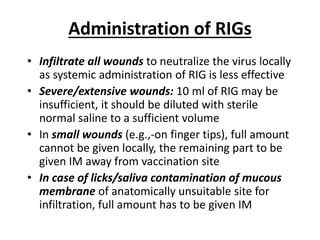 Administration of RIGs
• Infiltrate all wounds to neutralize the virus locally
as systemic administration of RIG is less effective
• Severe/extensive wounds: 10 ml of RIG may be
insufficient, it should be diluted with sterile
normal saline to a sufficient volume
• In small wounds (e.g.,-on finger tips), full amount
cannot be given locally, the remaining part to be
given IM away from vaccination site
• In case of licks/saliva contamination of mucous
membrane of anatomically unsuitable site for
infiltration, full amount has to be given IM
 