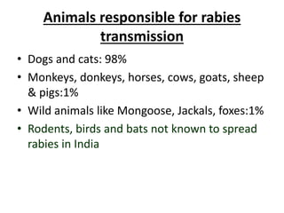 Animals responsible for rabies
transmission
• Dogs and cats: 98%
• Monkeys, donkeys, horses, cows, goats, sheep
& pigs:1%
• Wild animals like Mongoose, Jackals, foxes:1%
• Rodents, birds and bats not known to spread
rabies in India
 