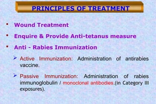 Rabies Prevention.ppt imp for msc nursing students and other | PPT